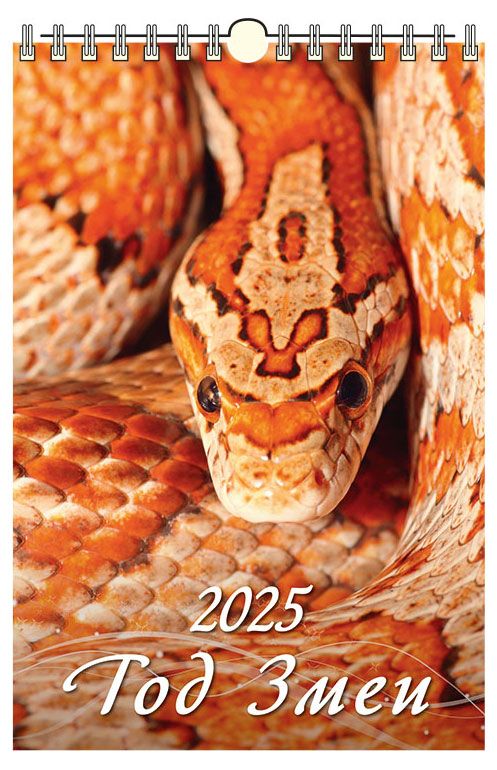 Календарь настенный перекидной Дитон Год змеи с ригелем 2025 г 320х480 мм 199₽