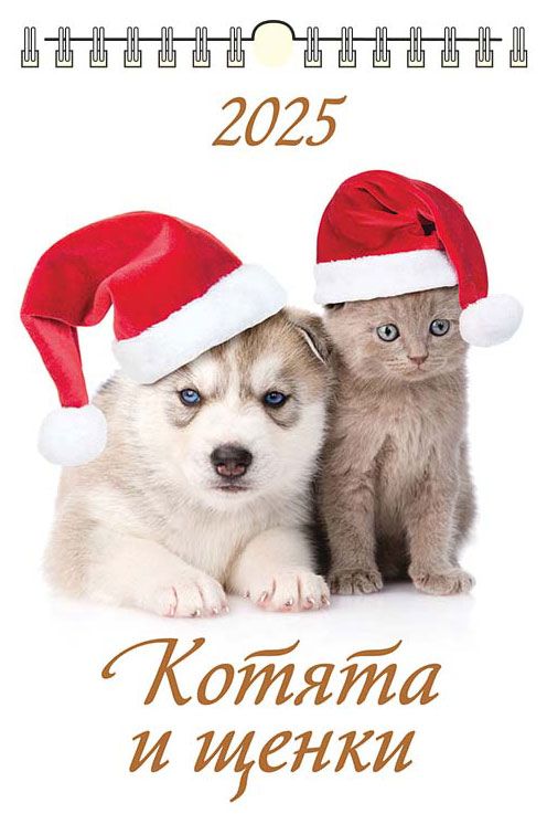 Календарь настенный перекидной Дитон Котята и щенки с ригелем 2025 г 320х480 мм 179₽