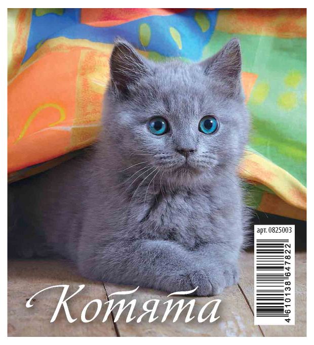 Календарь перекидной настольный Каленарт Котята домик маленький 2025 г, 100х140 мм