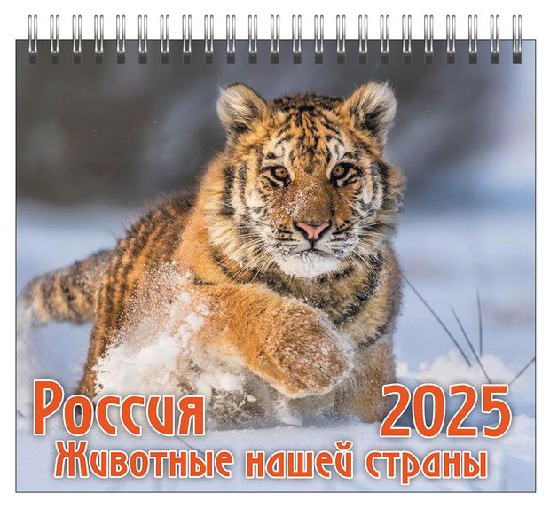 Календарь домик ND PLAY Животные России 2025
