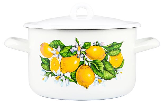 Кастрюля Каждый день сочные лимоны, 2,9 л