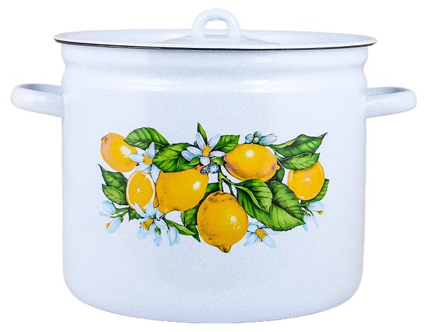 Кастрюля Каждый день сочные лимоны, 9 л