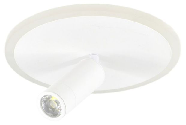 фото Светильник настенно-потолочный escada 20046sma/01 white led 20w