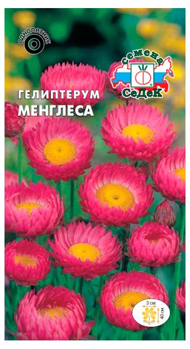 Семена СеДеК Цветок Гелиптерум Менглеса,1 шт