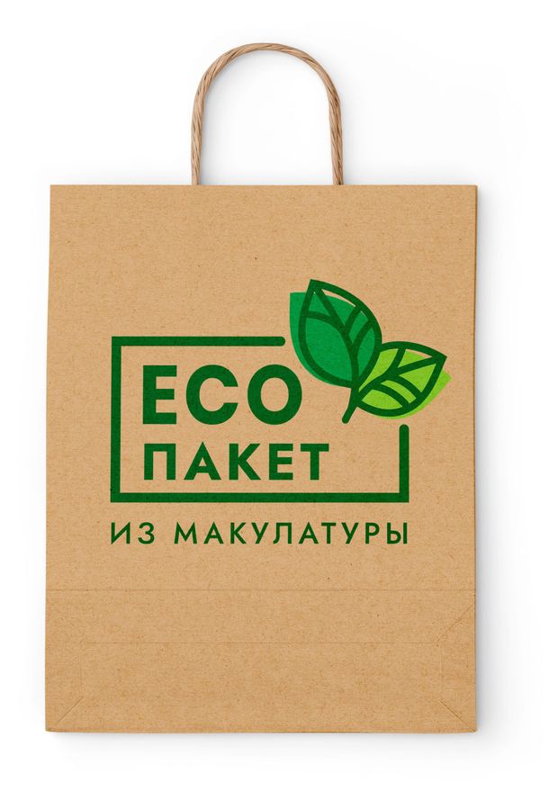 Пакет бумажный Эко, 25х22х12 см