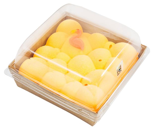 Торт-мороженое Ногинское мороженое Тропическое манго 15% БЗМЖ, 500 г