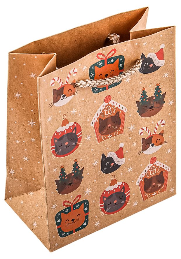 Пакет бумажный подарочный АШАН Красная птица крафт 20х24 см в ассортименте 48₽