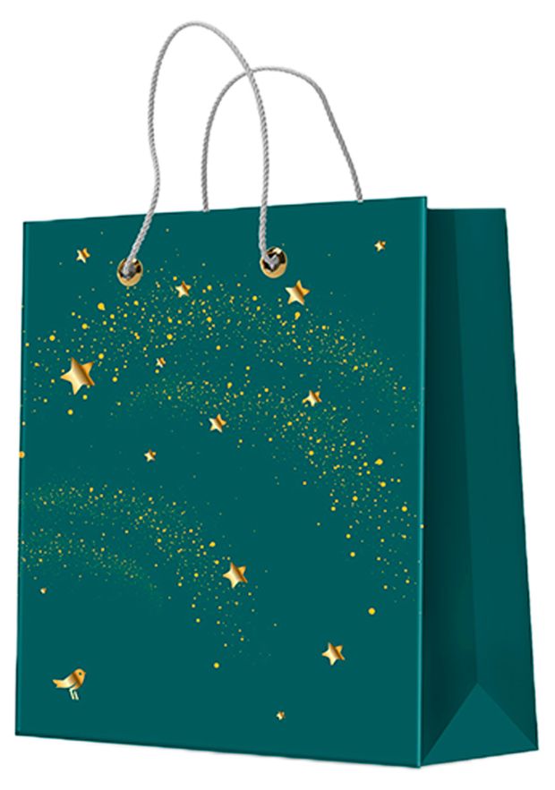 Пакет подарочный АШАН Красная птица зеленый 30х39 см 100₽