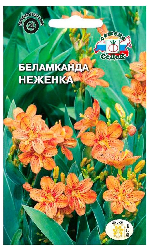 Семена СеДеК Цветок Бекламканда Неженка Леопардовая Лилия, 0,2 г