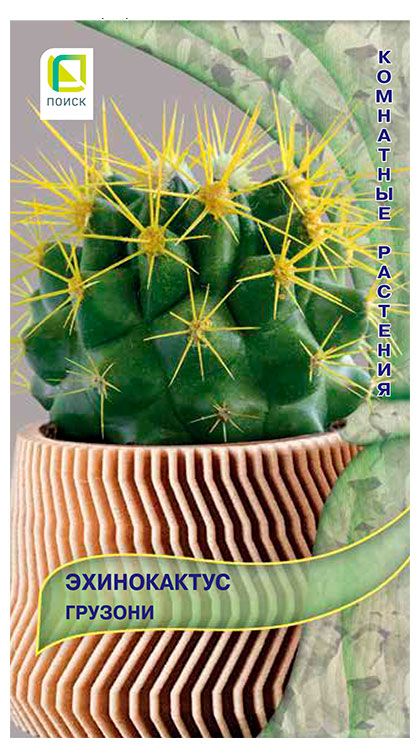 Семена Поиск Эхинокактус Грузони, 10 шт