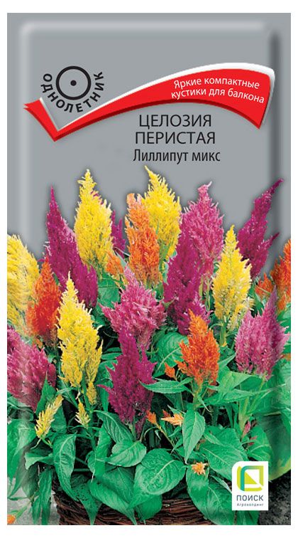 Семена Поиск Целозия перистая Лиллипут микс, 0,1 г