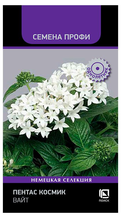 Семена Поиск Пентас Космик Вайт, 7 шт