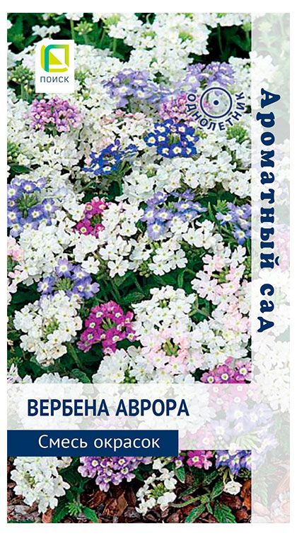 Семена Поиск Вербена Аврора Смесь окрасок, 10 шт