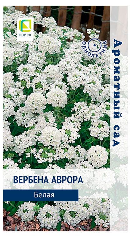 Семена Поиск Вербена Аврора Белая, 10 шт