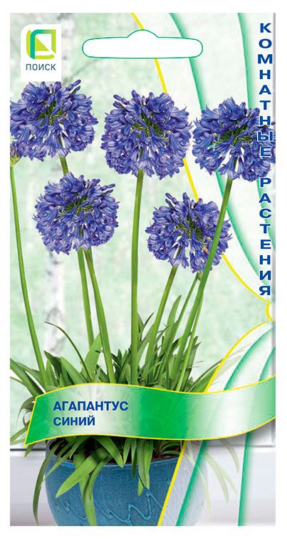 Семена Поиск Агапантус Синий, 3 шт