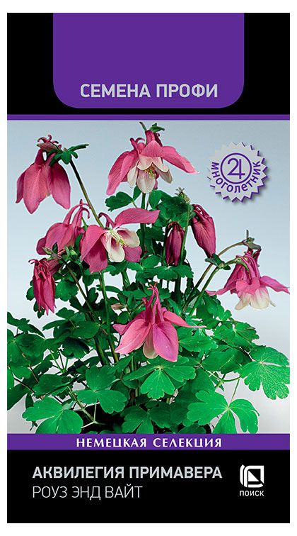 Семена Поиск Аквилегия Примавера Роуз энд вайт, 5 шт