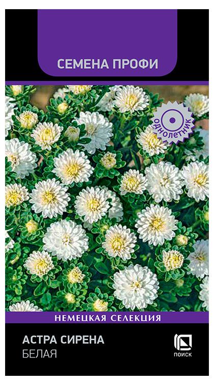 Семена Поиск Астра Сирена Белая, 0,5 г