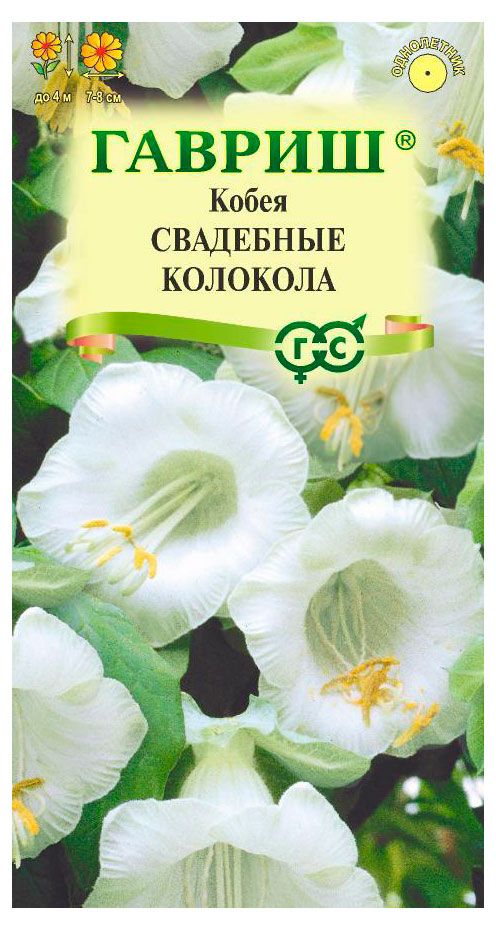 Семена Гавриш Кобея лазящая Свадебные колокола, 5 шт