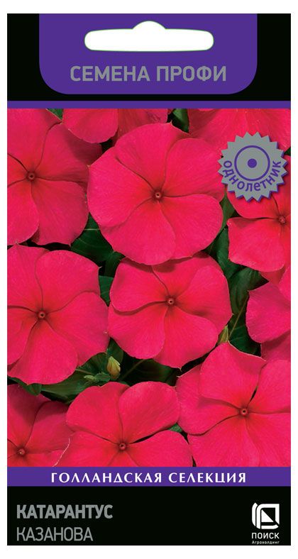 Семена Поиск Катарантус Казанова, 10 шт