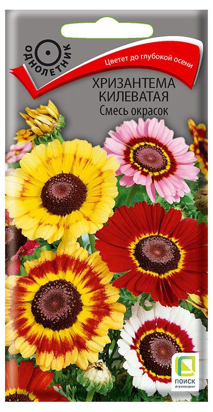 Семена Поиск Хризантема килеватая Смесь окрасок, 0,3 г