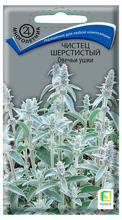 Семена Поиск Чистец шерстистый Овечьи ушки, 0,1 г