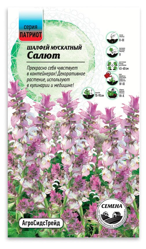 Семена Патриот Шалфей мускатный Салют, 0,3 г