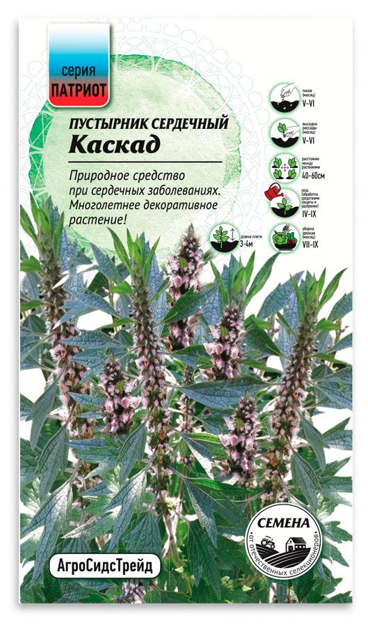Семена Патриот Пустырник сердечный Каскад, 0,5 г