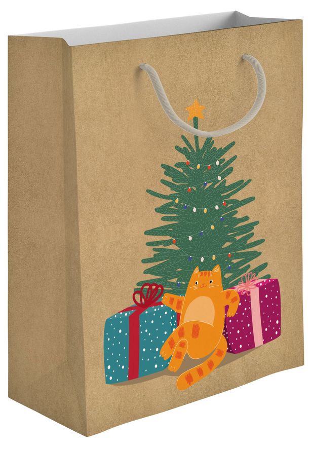 Пакет бумажный подарочный АШАН Красная птица крафт 26х32 см 1 шт в ассортименте 50₽