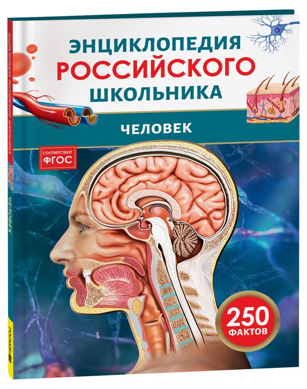Книги, журналы  Ашан Энциклопедия российского школьника Человек