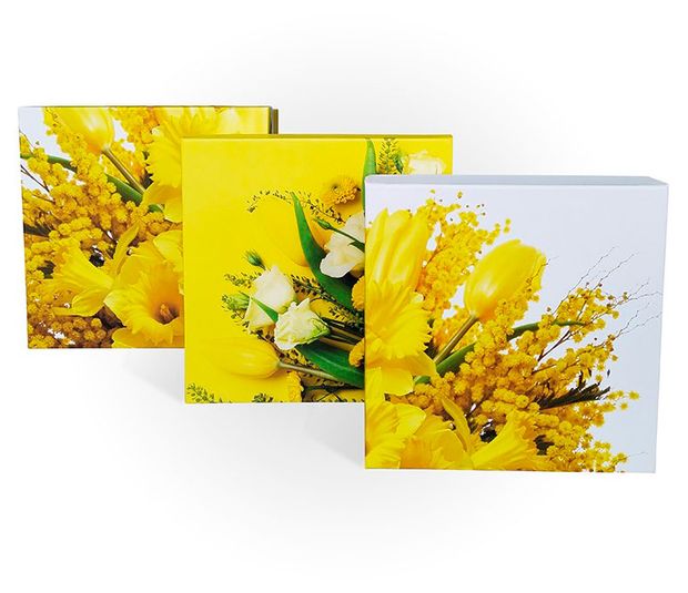 Коробка подарочная РутаУпак Мимоза 19х19х19 см, 1 шт в ассортименте