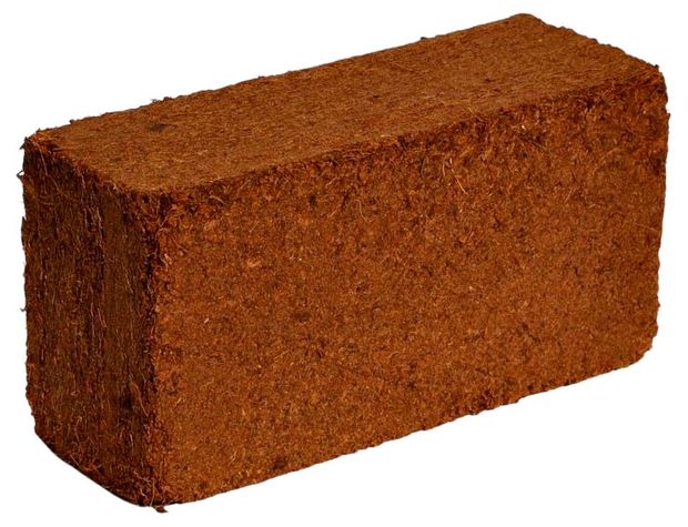 Кокосовый торф ГазонСity в квадратных брикетах 10 л