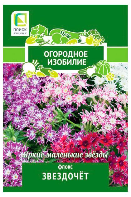 Семена Поиск Флокс Звездочет