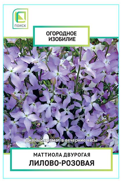 Семена Поиск Маттиола двурогая Лилово-розовая