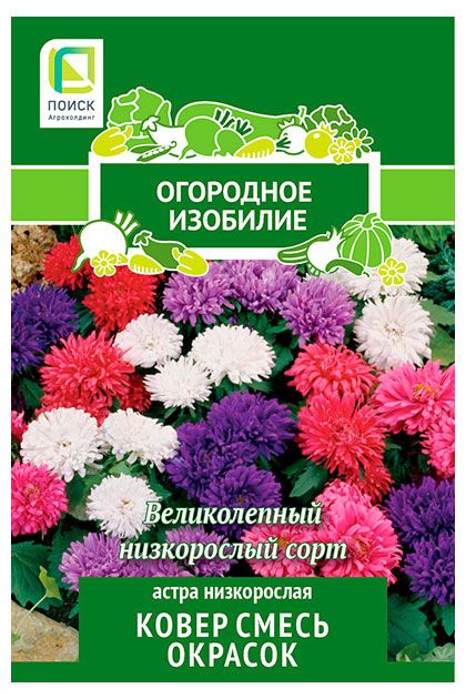 Семена Поиск Астра низкорослая Ковер смесь окрасок