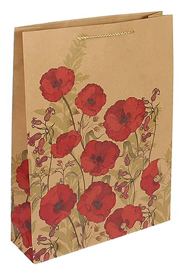 Сумка крафт ЭКО Grand Gift 45x33x10 см 50₽