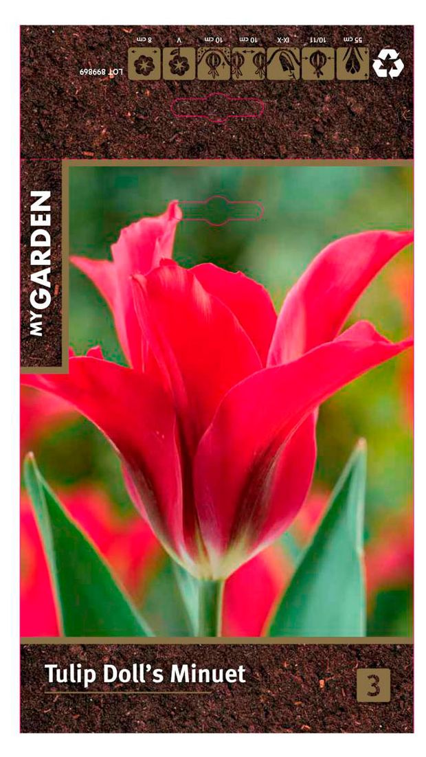 Луковицы Флора групп Тюльпан Зеленоцветный Доллз Минуэт 3 шт 209₽