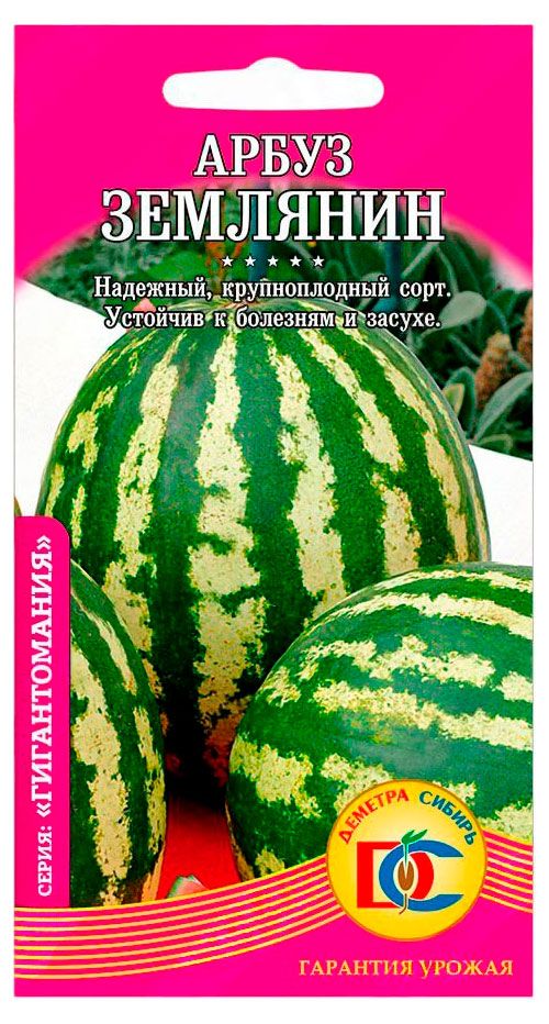 Семена Деметра-Сибирь Арбуз Землянин, 0,5 г