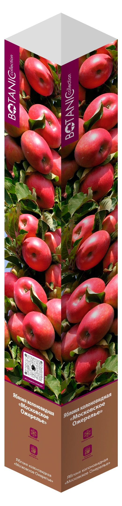 Саженцы Флора групп Яблоня Колоновидная Московское ожерелье в тубе, 1 шт