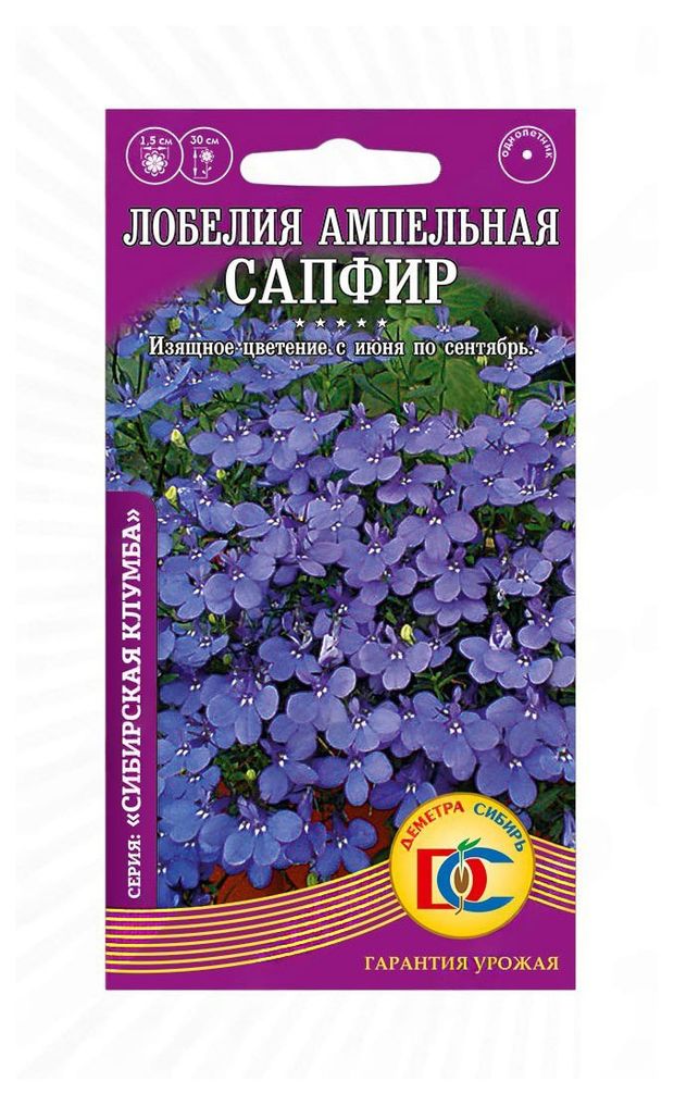 Семена Деметра-Сибирь Лобелия Сапфир плетистая, 0,02 г
