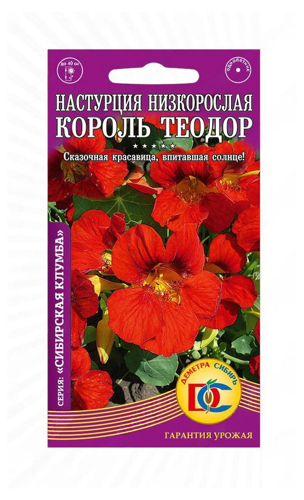 Семена Деметра-Сибирь Настурция Король Теодор низкорослая