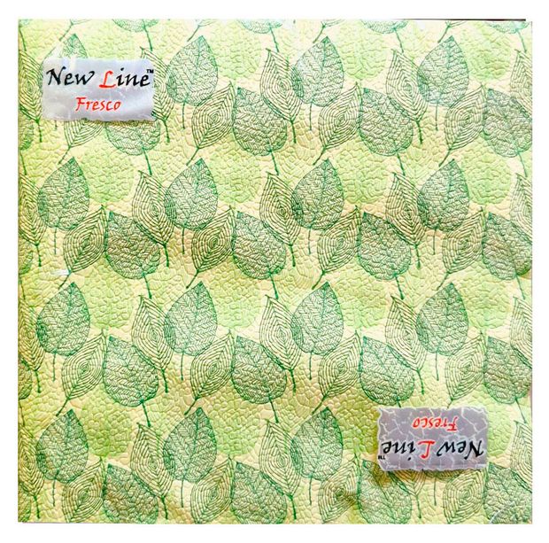 Салфетки бумажные New Line Fresco 2 слоя 33х33 см, 20 шт