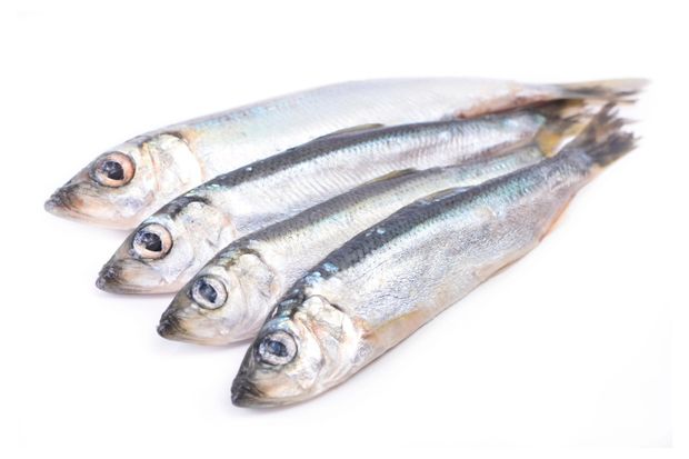 Рыба, икра, морепродукты Салака Каждый день замороженная, вес
