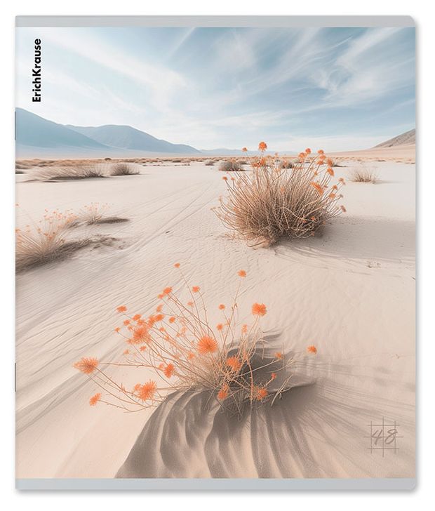 Тетрадь ErichKrause Pasifico в клетку А5, 48 л в ассортименте