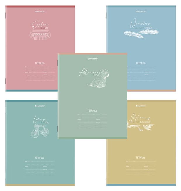 Тетрадь BRAUBERG Pastel в клетку A5 24 л 1 шт в ассортименте 50₽