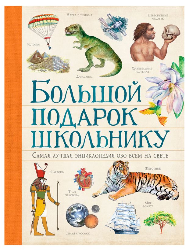 Большой подарок школьнику