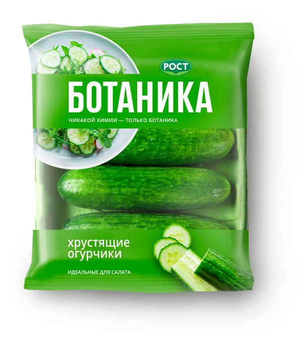 Овощи, фрукты, орехи  Ашан Огурцы ботаника, 420 г