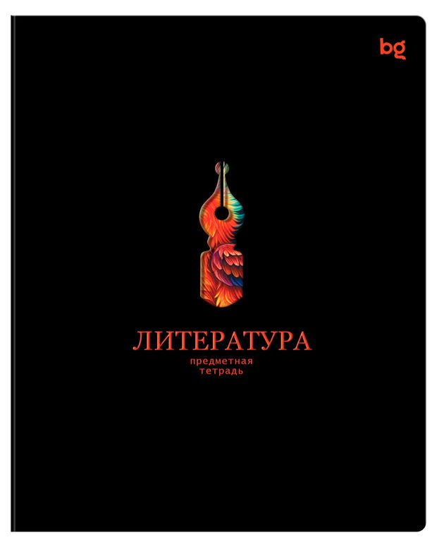 Тетрадь предметная BG Информационное поле Литература в линейку А5, 48 л
