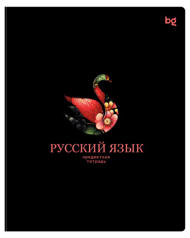 Тетрадь предметная BG Информационное поле Русский язык в линейку А5, 48 л