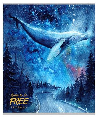 Тетрадь Prof-Press Парящие киты в клетку А5 24 л 1 шт в ассортименте 45₽