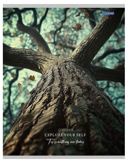 Тетрадь Legend Картины природы в клетку А5 48 л, 1 шт в ассортименте